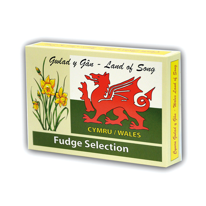 Gift box of welsh fudge